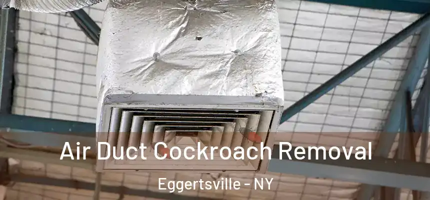  Air Duct Cockroach Removal Eggertsville - NY