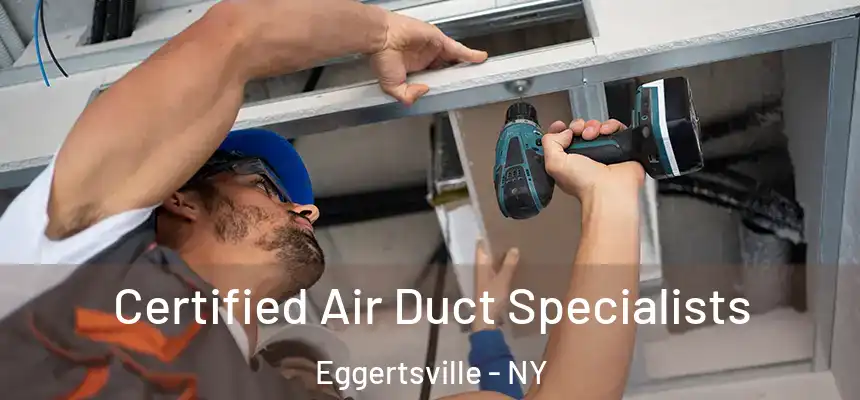  Certified Air Duct Specialists Eggertsville - NY