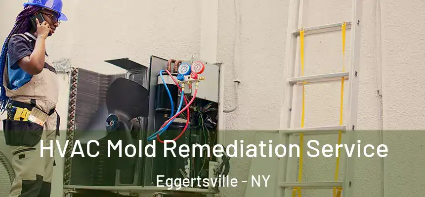  HVAC Mold Remediation Service Eggertsville - NY