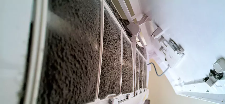 Preventive Air Duct Bacteria Removal in Eggertsville