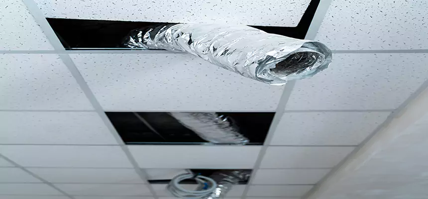 Our Air Duct Pet Hair Removal Services in Eggertsville, NY