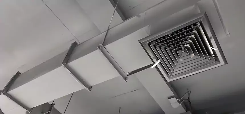 Our Pest Removal From Ducts Services in Eggertsville, NY