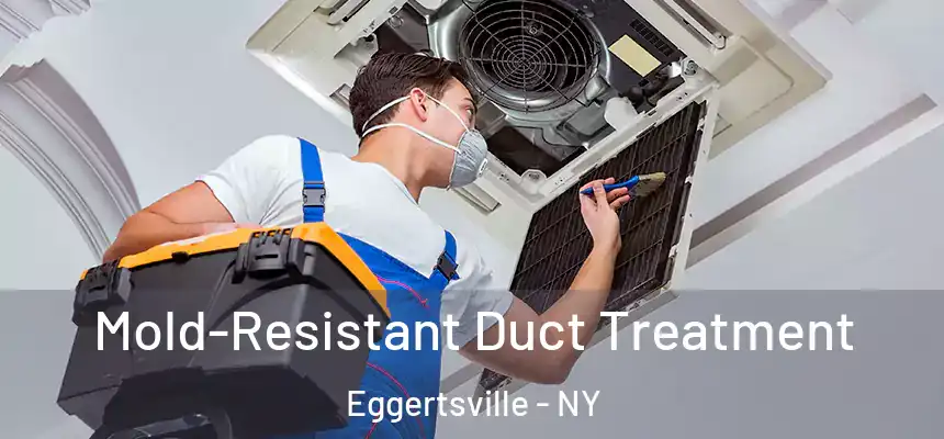  Mold-Resistant Duct Treatment Eggertsville - NY