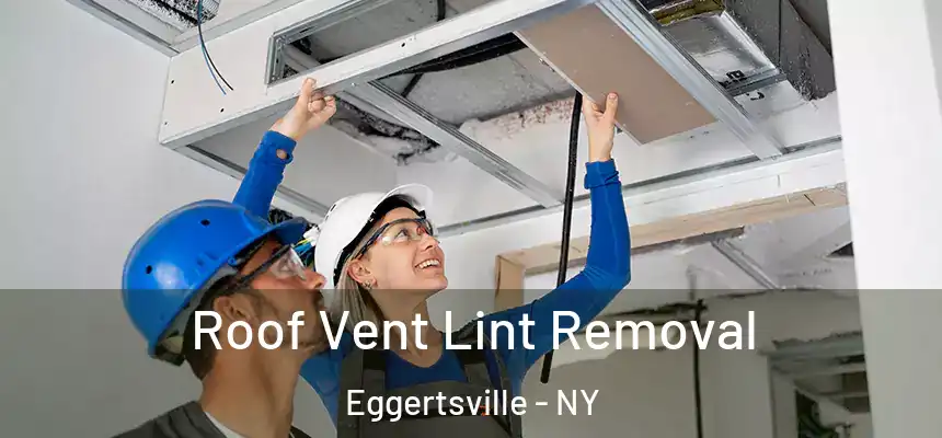  Roof Vent Lint Removal Eggertsville - NY