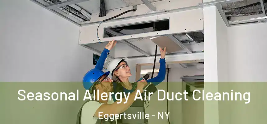  Seasonal Allergy Air Duct Cleaning Eggertsville - NY
