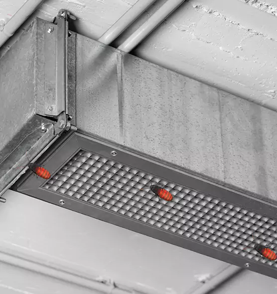 About Air Duct Cockroach Removal in Eggertsville, NY