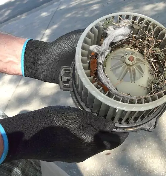 About Air Duct Rat Removal in Eggertsville, NY