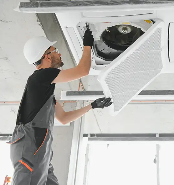 About Air Duct Rodent Removal in Eggertsville, NY