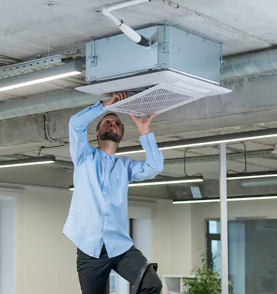 Advanced Rodent Droppings In Vents in Eggertsville, NY