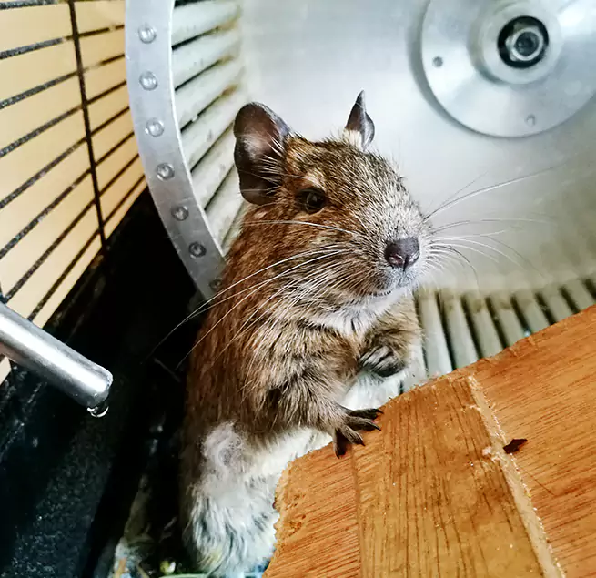 Why Homeowners & Businesses Trust Us Eggertsville, NY