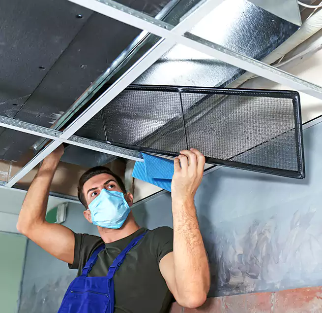 Why Homeowners Businesses Trust Us in Eggertsville, NY