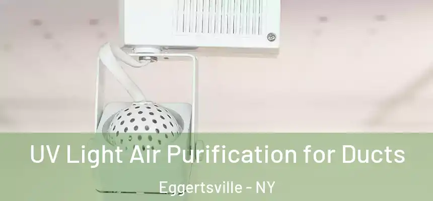  UV Light Air Purification for Ducts Eggertsville - NY